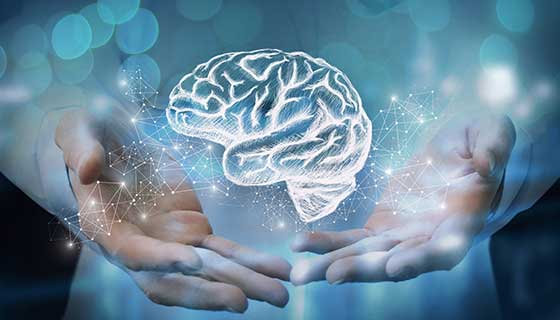 What Clues in history and examination ?